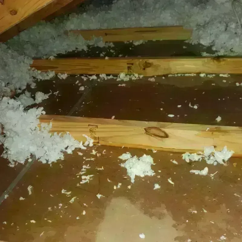 Attic Water Damage in Hudson Oaks, TX